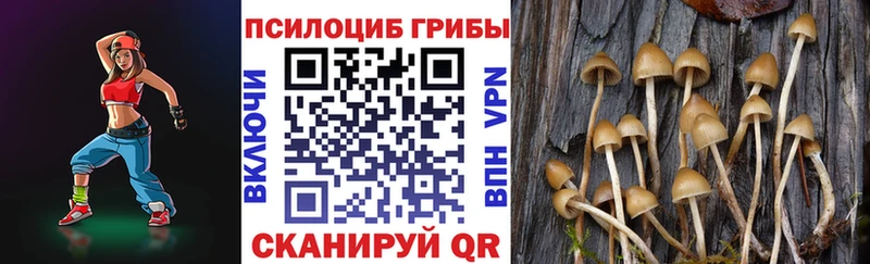 Галлюциногенные грибы мухоморы  Хотьково 